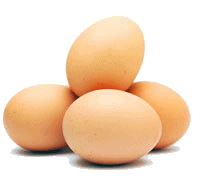 eggs